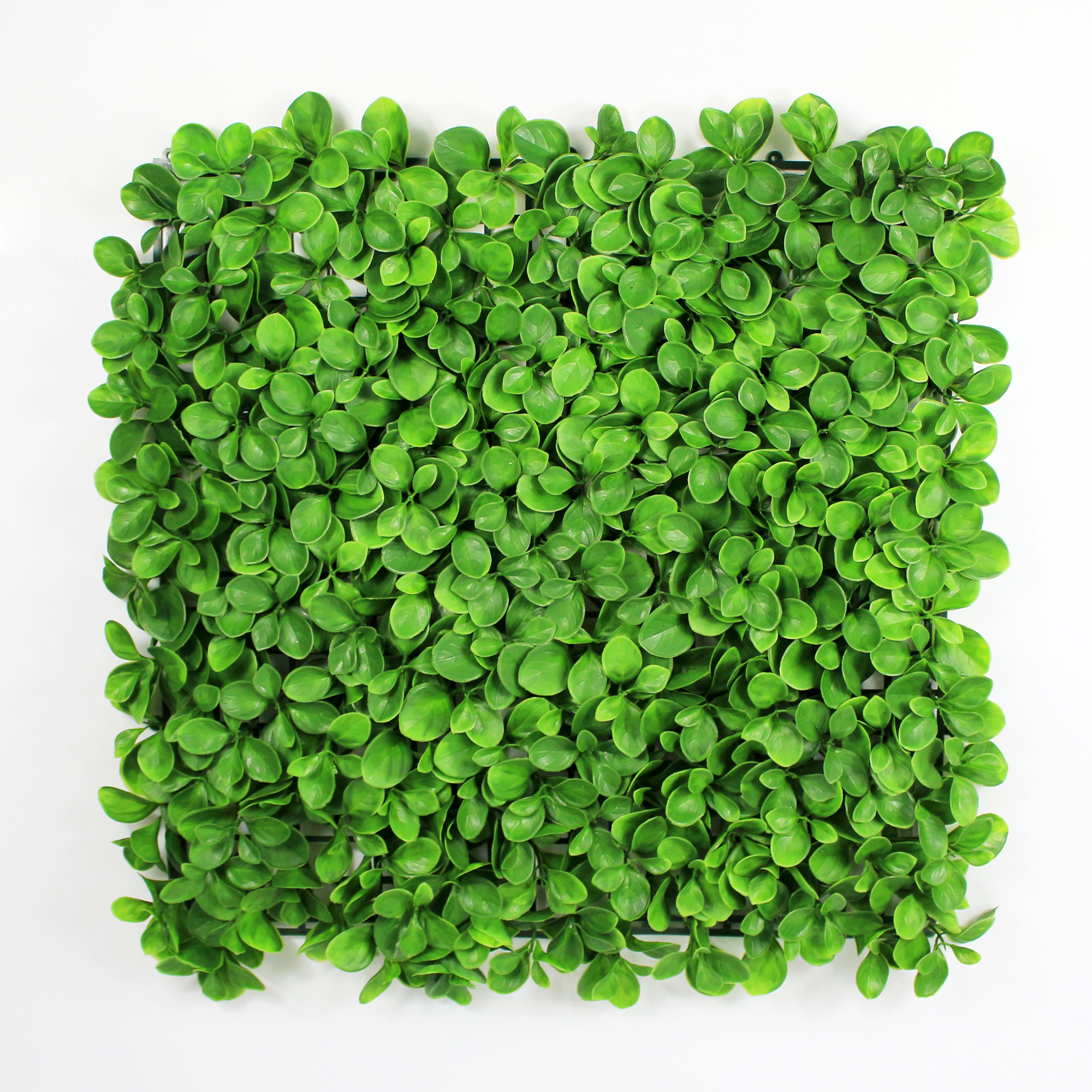 Enredadera sintética